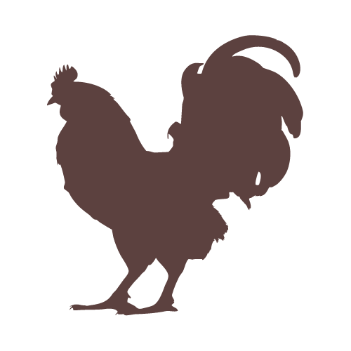 الطيور