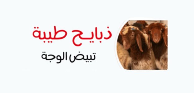 أنعام الصمان