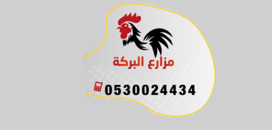 مزارع البركة