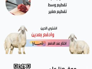 خدمات أنعام الصمان