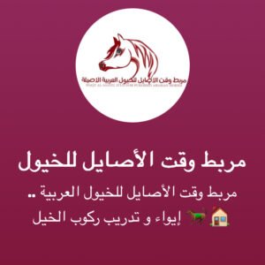خدمات مربط وقت الأصايل