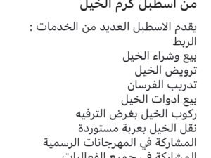 خدمات مربط كرم الخيل